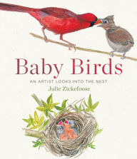 Title: Baby Birds: An Artist Looks into the Nest, Author: Julie Zickefoose