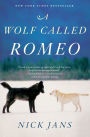 A Wolf Called Romeo