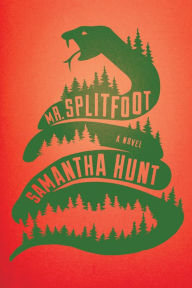 Title: Mr. Splitfoot, Author: Samantha Hunt