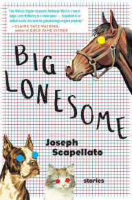Title: Big Lonesome: Stories, Author: Joseph Scapellato