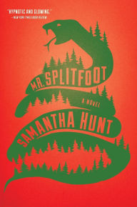 Title: Mr. Splitfoot, Author: Samantha Hunt