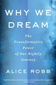 Why We Dream: The Transformative Power of Our Nightly Journey