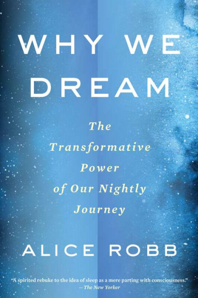 Why We Dream: The Transformative Power of Our Nightly Journey