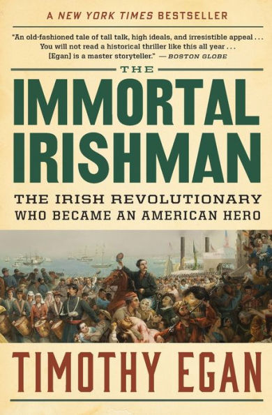 The Immortal Irishman: Irish Revolutionary Who Became an American Hero