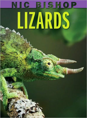 Lizards (Scholastic Reader Series: Level 2) by Nic Bishop, Hardcover ...