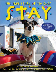 Title: Stay: The True Story of Ten Dogs, Author: Michaela Muntean