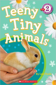 Title: Teeny Tiny Animals, Author: Lexi Ryals