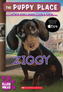 Ziggy (The Puppy Place Series #21)