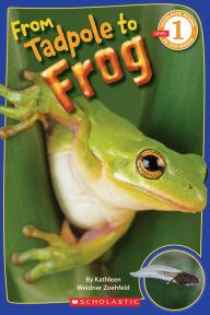 Title: From Tadpole to Frog (Scholastic Reader, Level 1), Author: Kathleen Weidner Zoehfeld