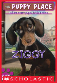 Title: Ziggy (The Puppy Place Series #21), Author: Ellen Miles