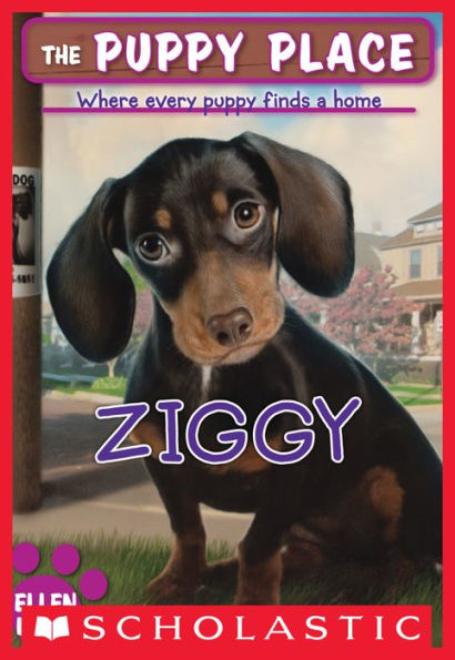 Ziggy (The Puppy Place Series #21)