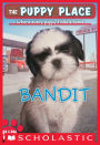 Bandit (The Puppy Place Series #24)
