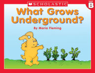 Title: Little Leveled Readers: What Grows Underground? (Level B): Just the Right Level to Help Young Readers Soar! (PagePerfect NOOK Book), Author: Liza Charlesworth