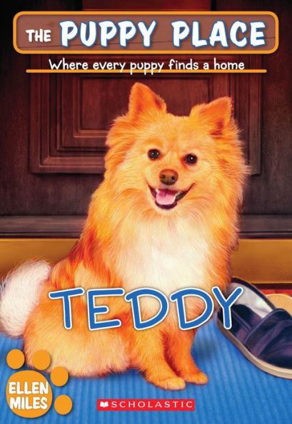 Teddy (The Puppy Place Series #28)