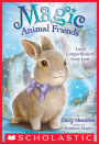 Lucy Longwhiskers Gets Lost (Magic Animal Friends Series #1)