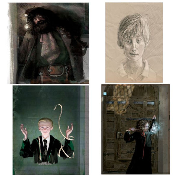 Harry Potter Illustrated Collection 1-5