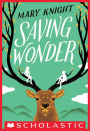 Saving Wonder