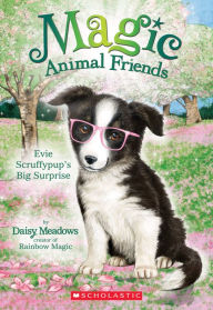 Title: Evie Scruffypup's Big Surprise (Magic Animal Friends #10), Author: Daisy Meadows