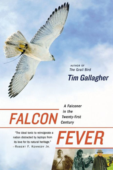 Falcon Fever: A Falconer in the Twenty-first Century