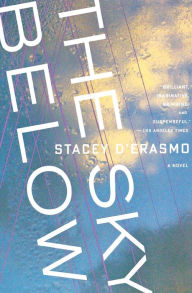Title: The Sky Below, Author: Stacey  D'Erasmo