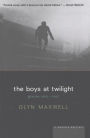 The Boys At Twilight: Poems 1990-1995