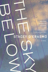 Title: The Sky Below, Author: Stacey  D'Erasmo