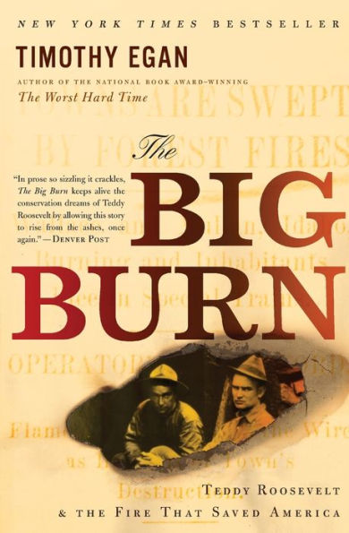 the Big Burn: Teddy Roosevelt and Fire that Saved America