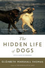 The Hidden Life Of Dogs