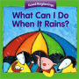 What Can I Do When It Rains?/¿Qué puedo hacer cuando llueve?: Bilingual English-Spanish