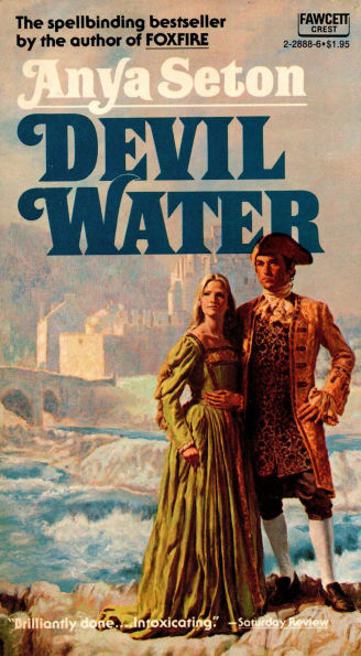 Devil Water: A Novel