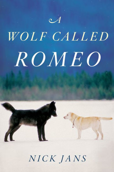 A Wolf Called Romeo