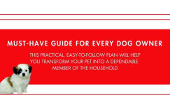 Alternative view 2 of How to Housebreak Your Dog in 7 Days (Revised)