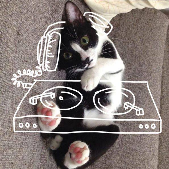 I Draw on Cats: A Connect-the-Dots Activity Book