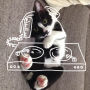 Alternative view 6 of I Draw on Cats: A Connect-the-Dots Activity Book