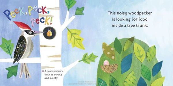 Hello, World! Birds by Jill McDonald, Board Book