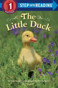 Title: The Little Duck, Author: Judy Dunn