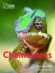 Title: Chameleons. Christopher Mattison and Nick Garbutt, Author: Christopher Mattison