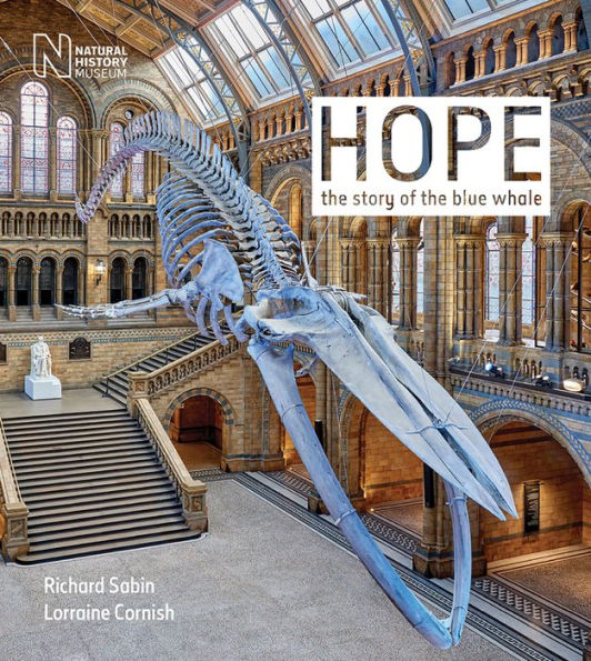 Hope: The story of the blue whale