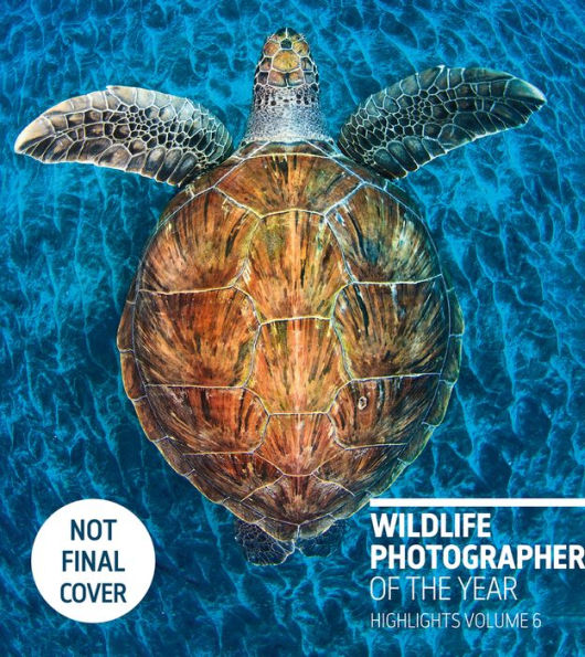 Wildlife Photographer of the Year: Highlights Volume 6