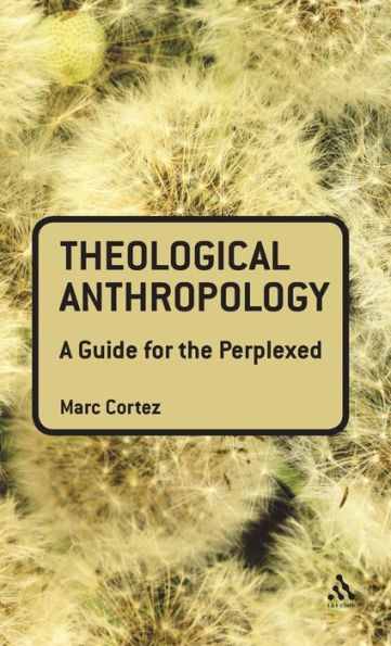 Theological Anthropology: A Guide for the Perplexed