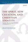 The Spirit, New Creation, and Christian Identity: Towards a Pneumatological Reading of Galatians 3:1-6:17