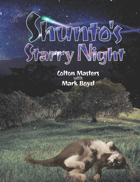 Shunto's Starry night