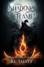 Realm of Shadows and Flame
