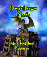 Title: Davy's Dragon Castle, Author: Mary L Schmidt