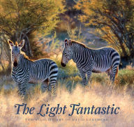 Title: The Light Fantastic: The Wildlife Art Of David Langmead, Author: David and Bronwen Langmead