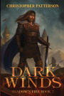 Dark Winds: Shadow's Fire Book 2