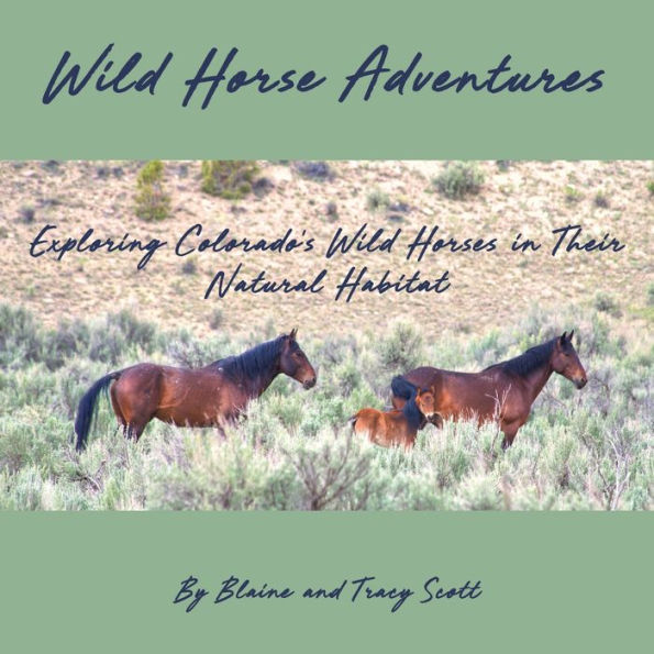 Wild Horse Adventures: Exploring Colorado's wild horses in their natural habitat