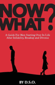 Title: NOW WHAT?: A Guide for Men Starting Over in Life After Infidelity, Breakup and Divorce, Author: DSO