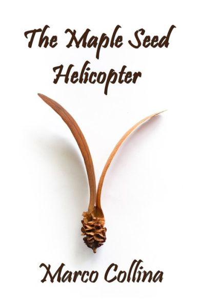 The Maple Seed Helicopter