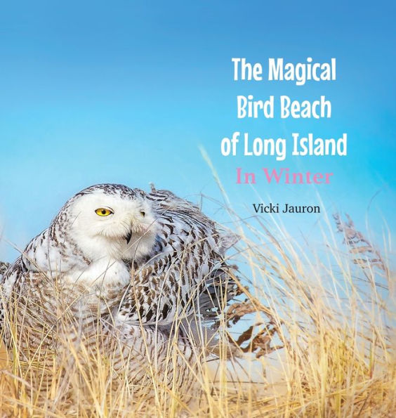 The Magical Bird Beach of Long Island in Winter: A Children's Rhyming Picture Book About the Snowy Owl and Other Winter Birds